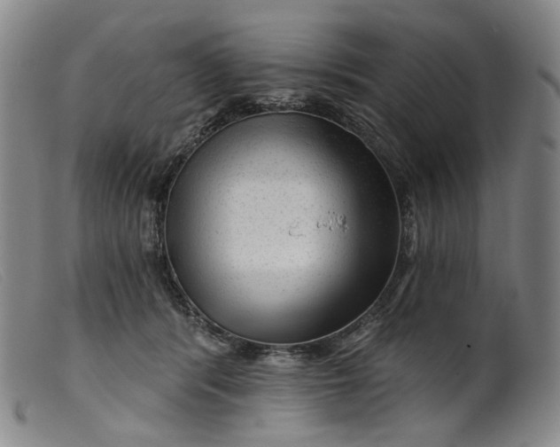 X0000099450416200805231746