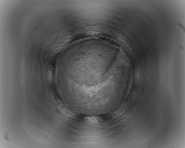 X0000099450417200805231746