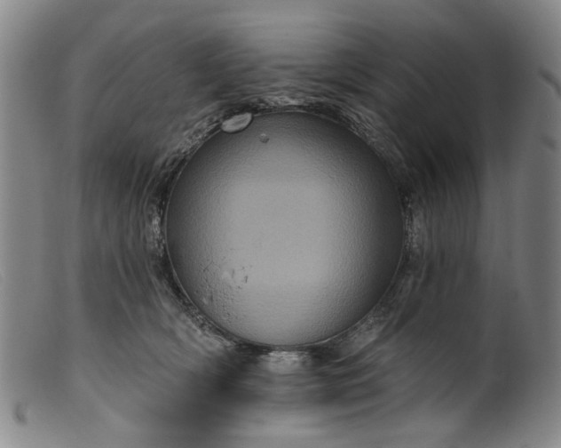 X0000099450418200805231746