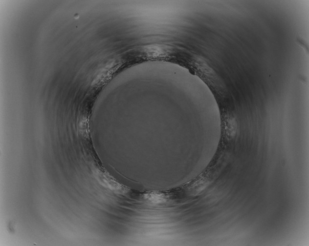 X0000099450419200805231746