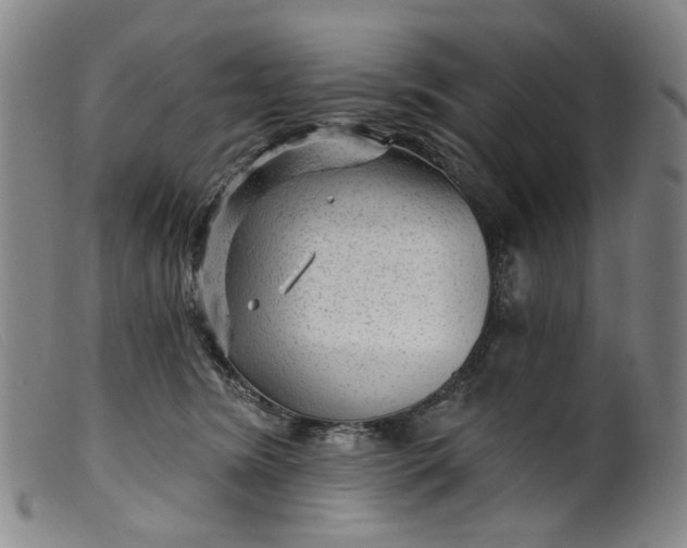 X0000099450420200805231746