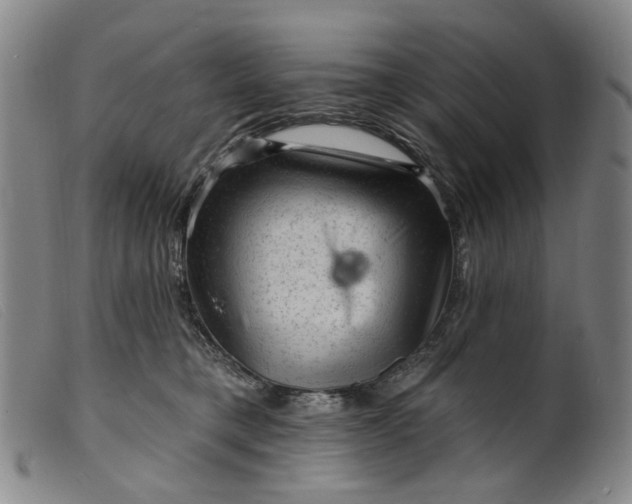 X0000099450421200805231746