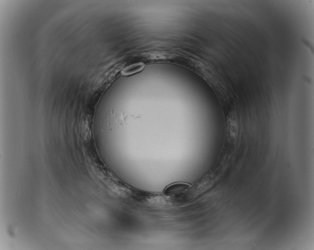 X0000099450422200805231746