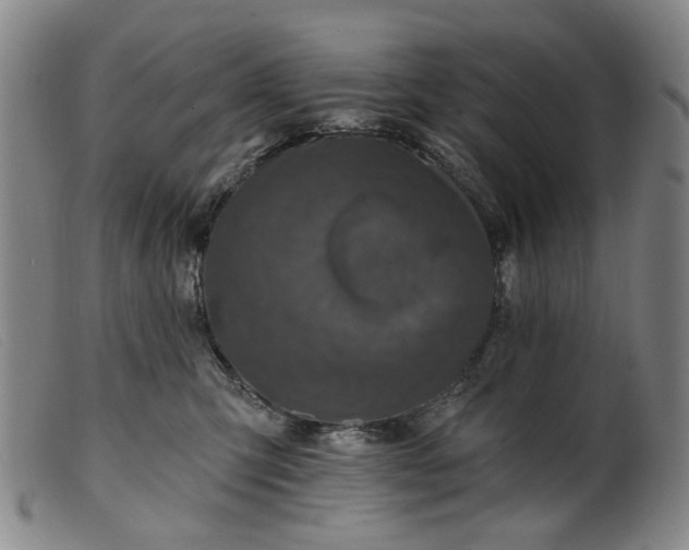 X0000099450423200805231746