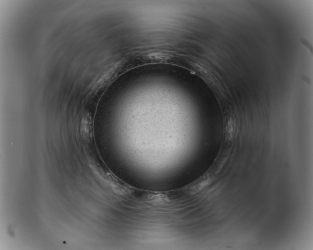 X0000099450424200805231746