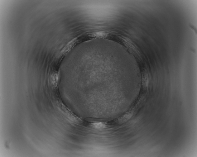 X0000099450425200805231746