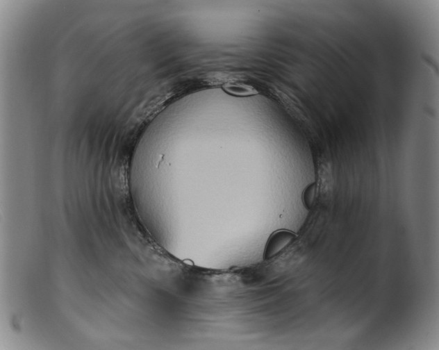 X0000099450426200805231746