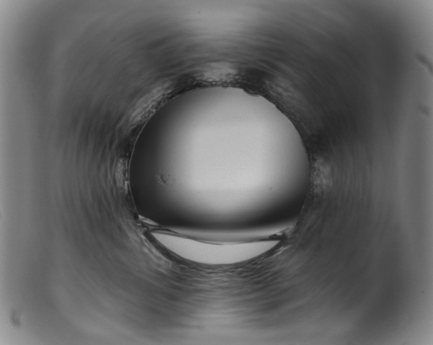 X0000099450428200805231746