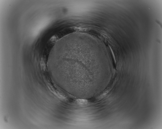 X0000099450429200805231746