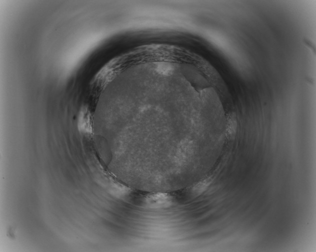 X0000099450431200805231746