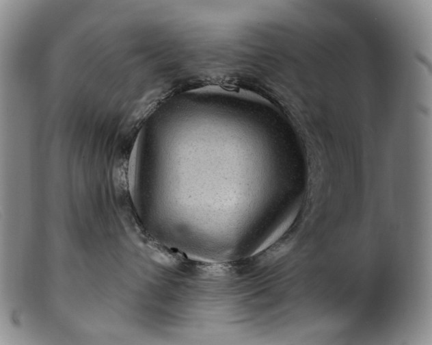 X0000099450432200805231746