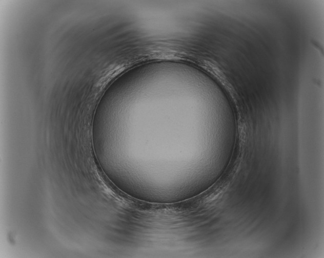 X0000099450433200805231745