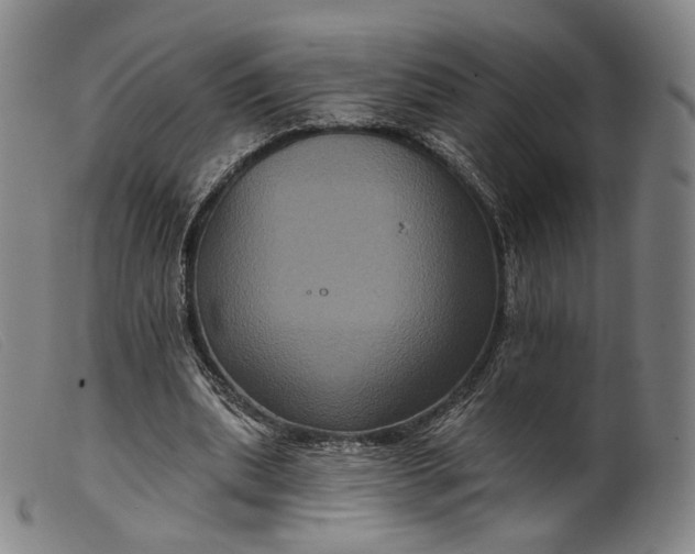 X0000099450439200805231745