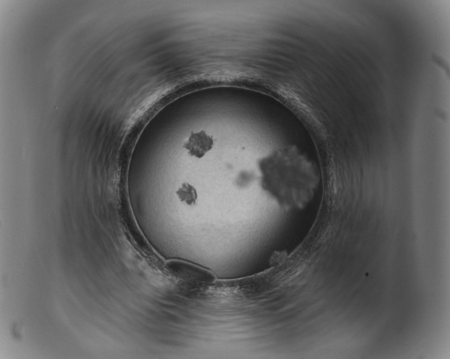 X0000099450440200805231745