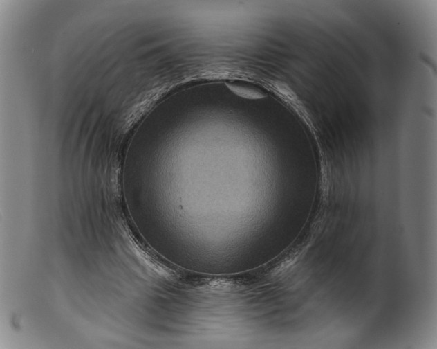 X0000099450441200805231745