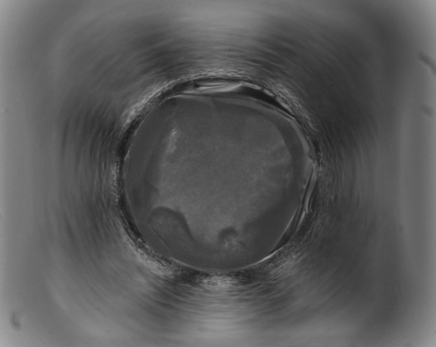 X0000099450444200805231745