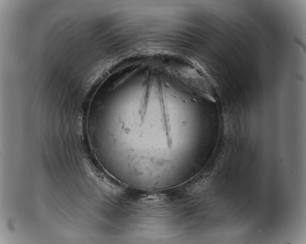 X0000099450447200805231745