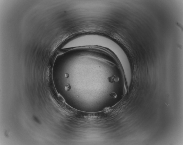 X0000099450448200805231745