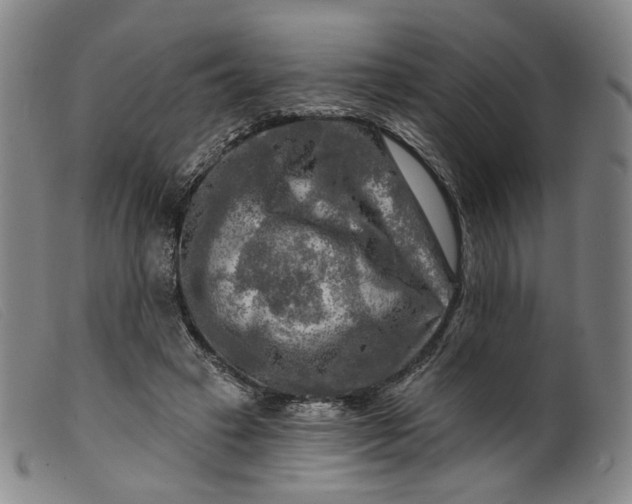 X0000099450449200805231745