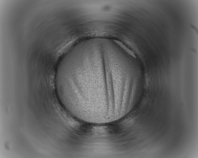 X0000099450450200805231745