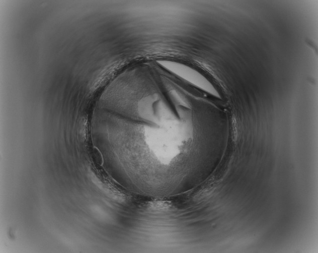 X0000099450451200805231745