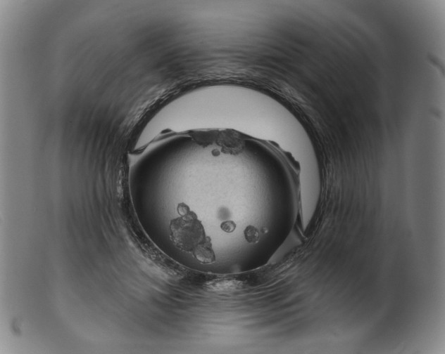 X0000099450452200805231745