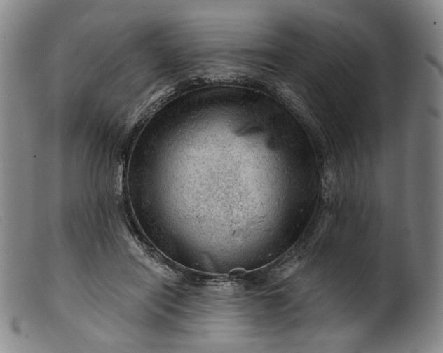 X0000099450454200805231745