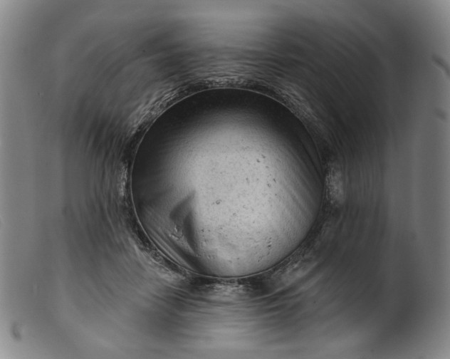 X0000099450458200805231746