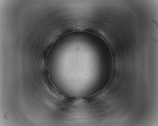 X0000099450459200805231746