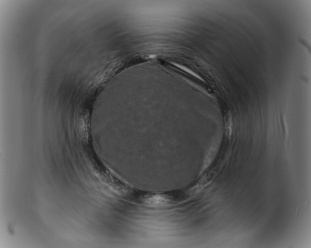 X0000099450460200805231746