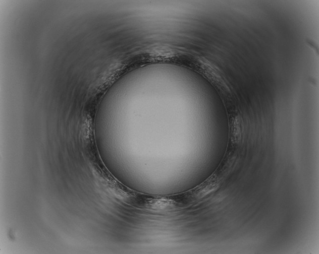 X0000099450463200805231746