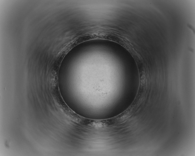 X0000099450464200805231746