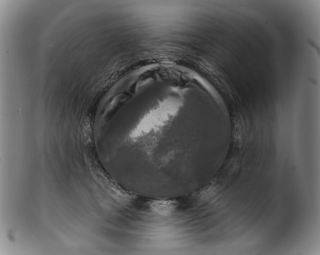 X0000099450465200805231746