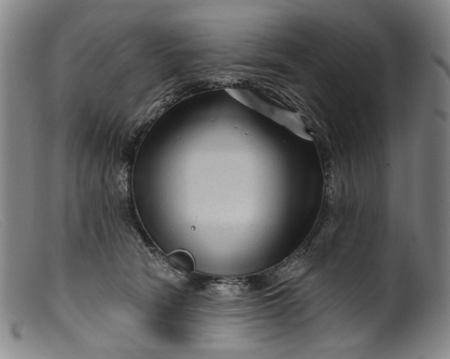 X0000099450466200805231746