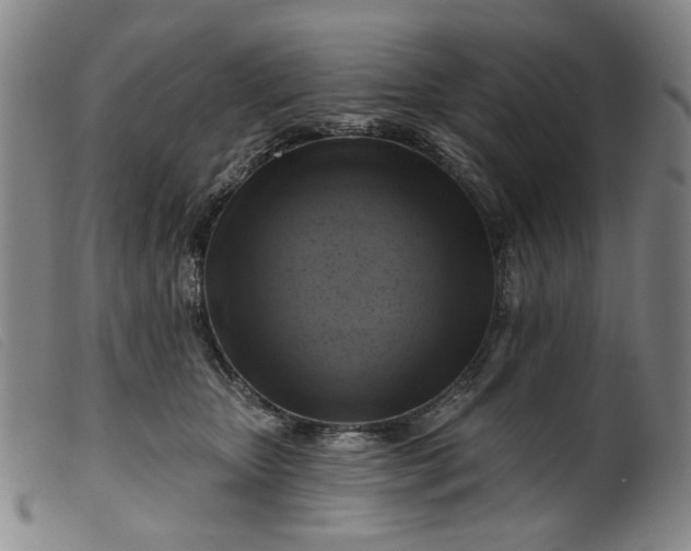 X0000099450467200805231746