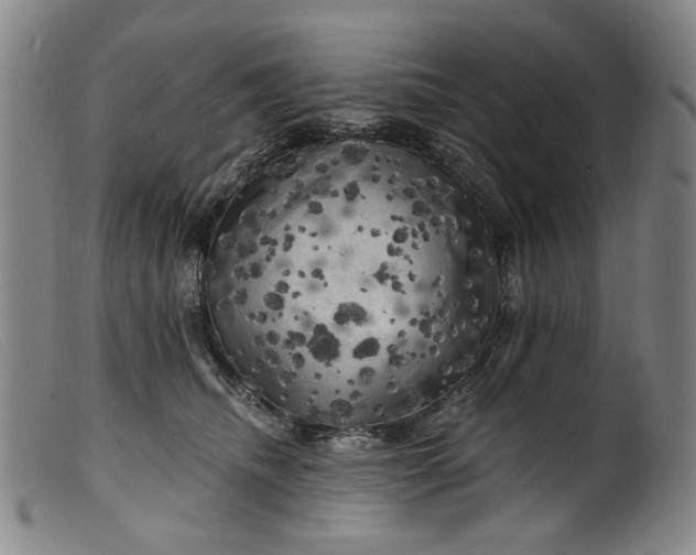 X0000099450468200805231746