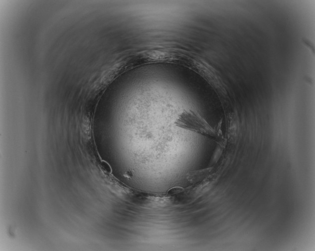 X0000099450469200805231746