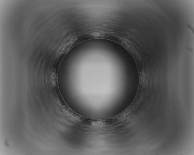 X0000099450470200805231746