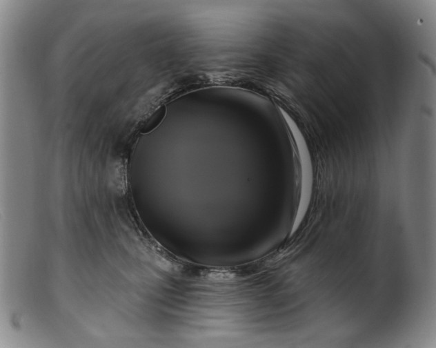 X0000099450471200805231746