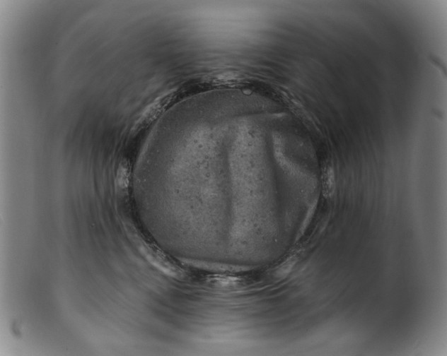 X0000099450472200805231746