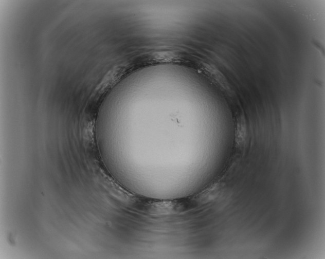 X0000099450473200805231746