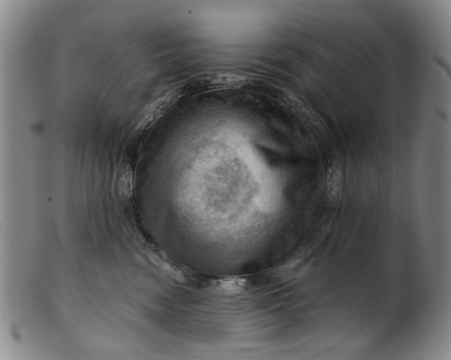 X0000099450474200805231746