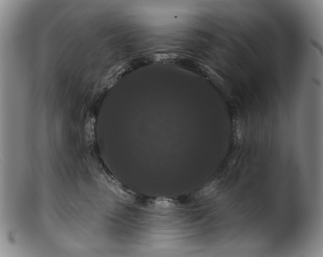 X0000099450475200805231746