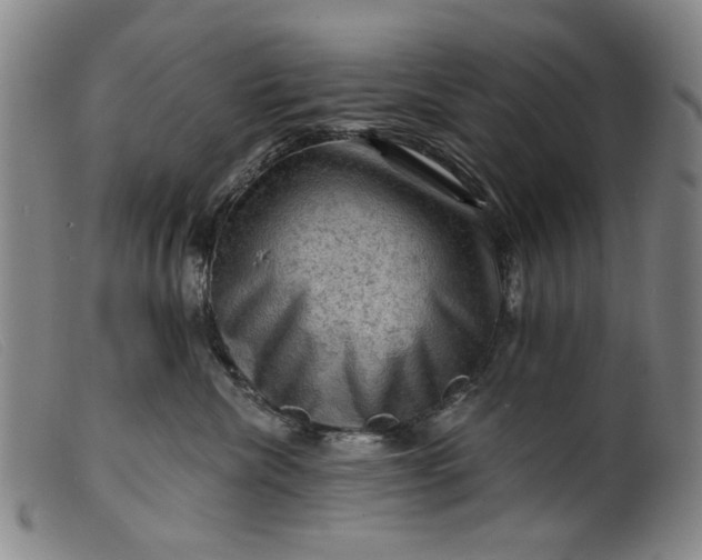 X0000099450476200805231746