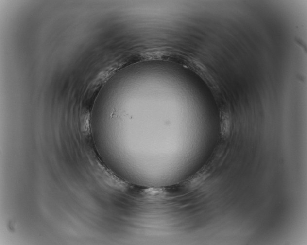 X0000099450477200805231746