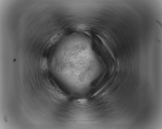 X0000099450478200805231746