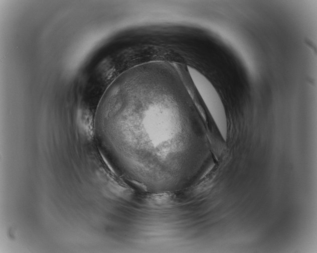 X0000099450479200805231746