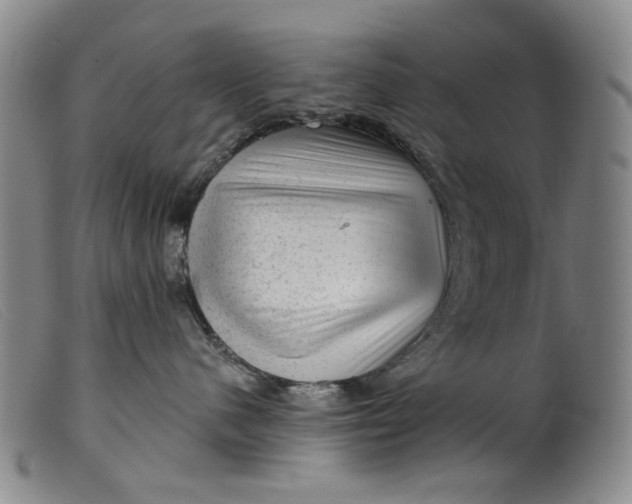 X0000099450480200805231746