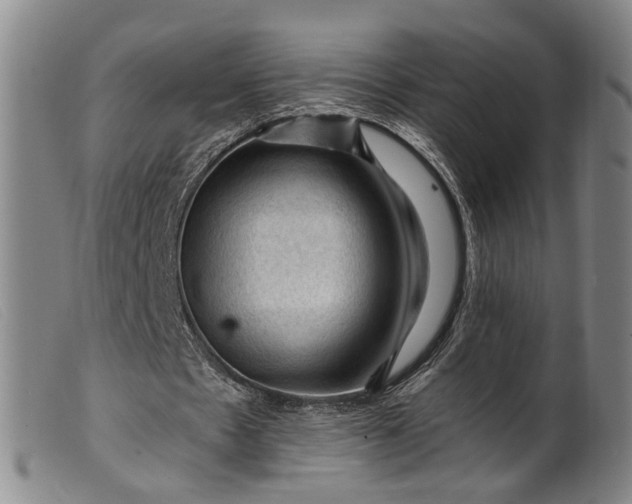 X0000099450481200805231745