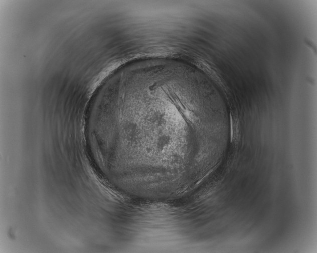 X0000099450483200805231745